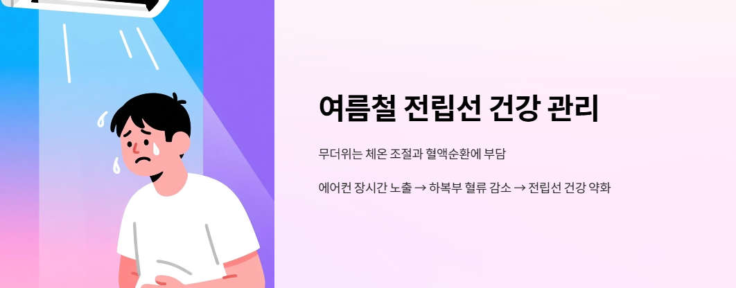 여름철 전립선 건강 관리