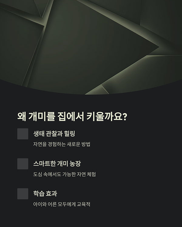 왜 요즘 사람들은 개미를 집에서 키울까요?