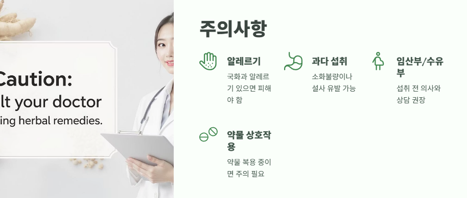 개망초 나물 모든 것 10