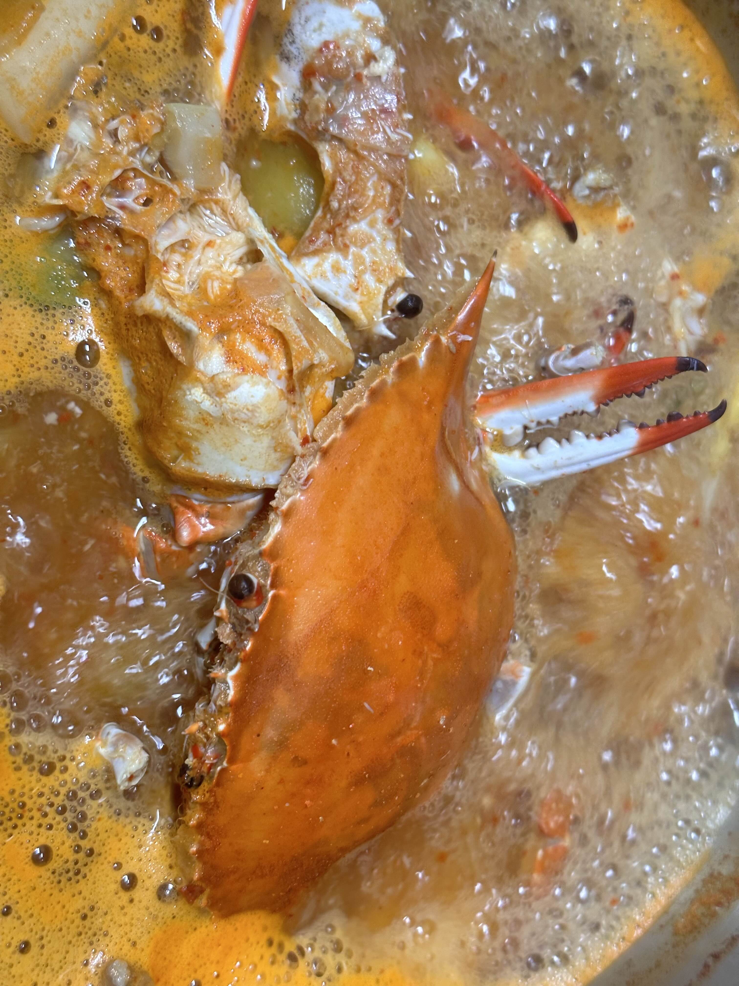 꽃게탕끓이는법