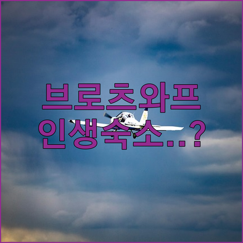 브로츠와프 올드타운 광장 근처 인기 ..