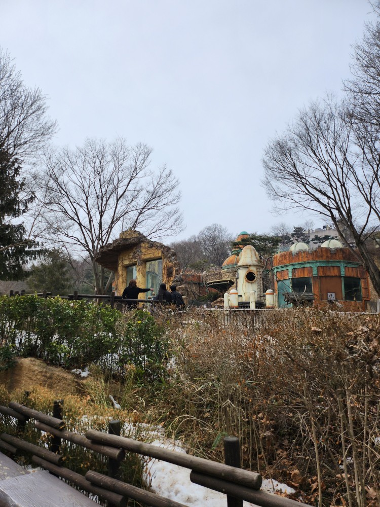 알버트 스페이스 센터