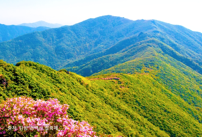 단양 소백산 철쭉제