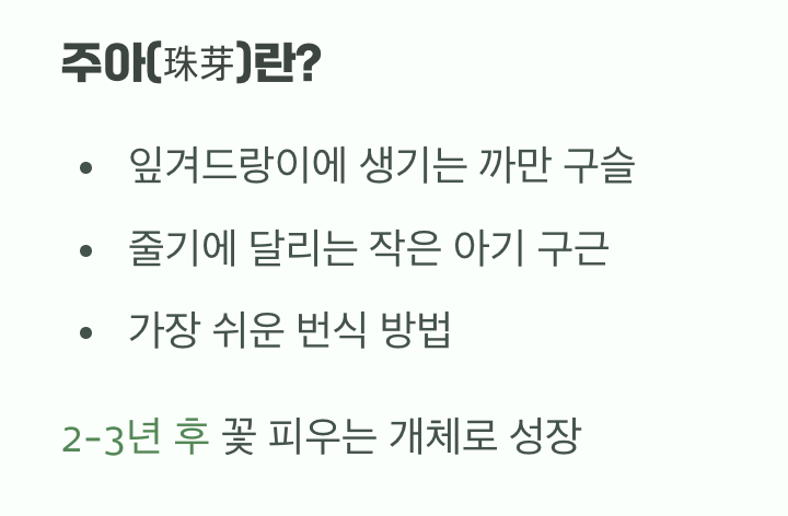 까만 구슬의 비밀, 공중의 아기 씨앗 '주아'