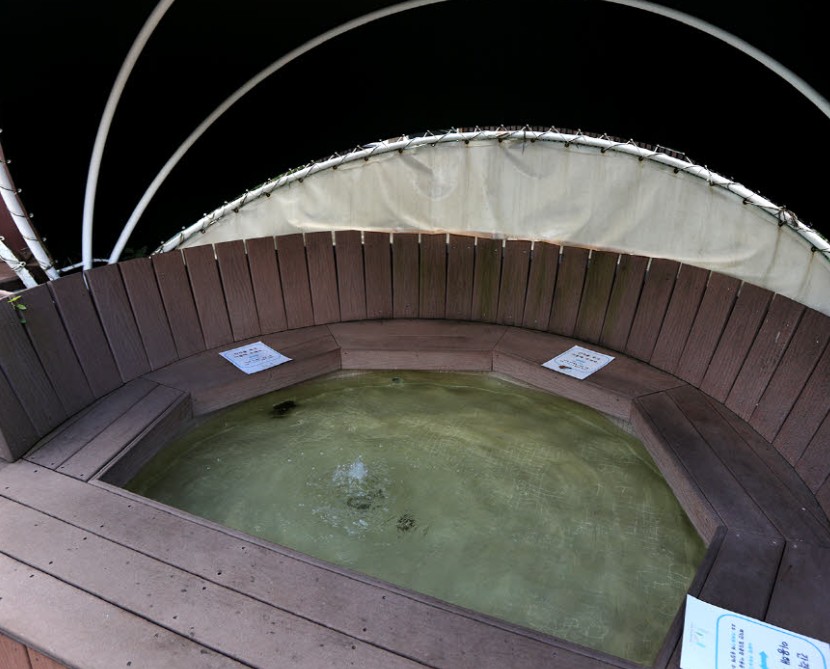 6시내고향 양평 숲속 족욕탕 썸네일