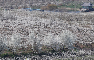 드라마 촬영지 눈물의 여왕