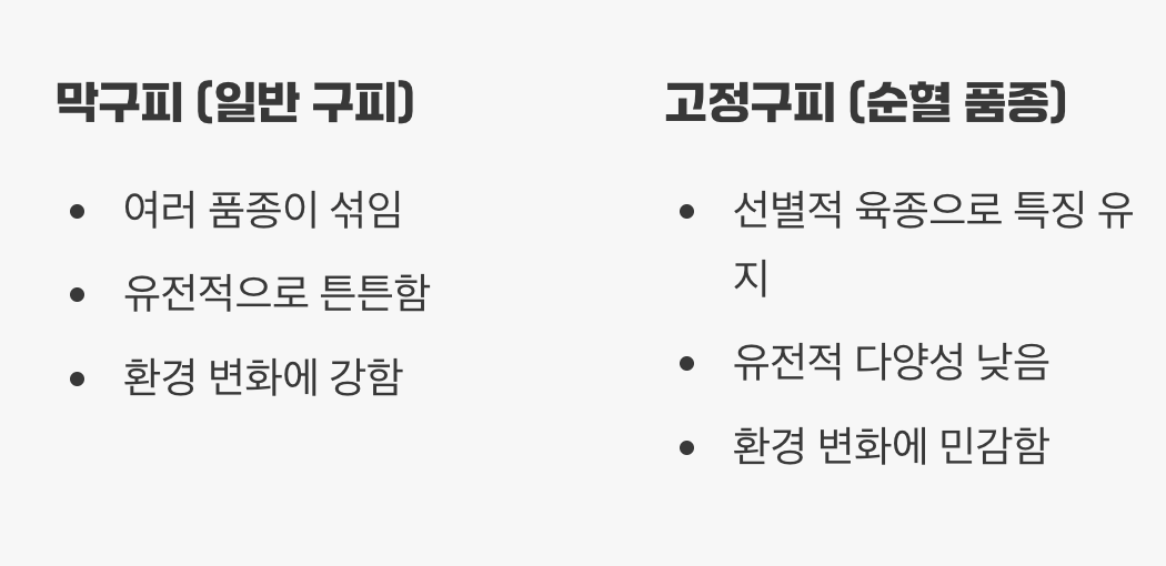 고정구피, '막구피'와 무엇이 다른가요?