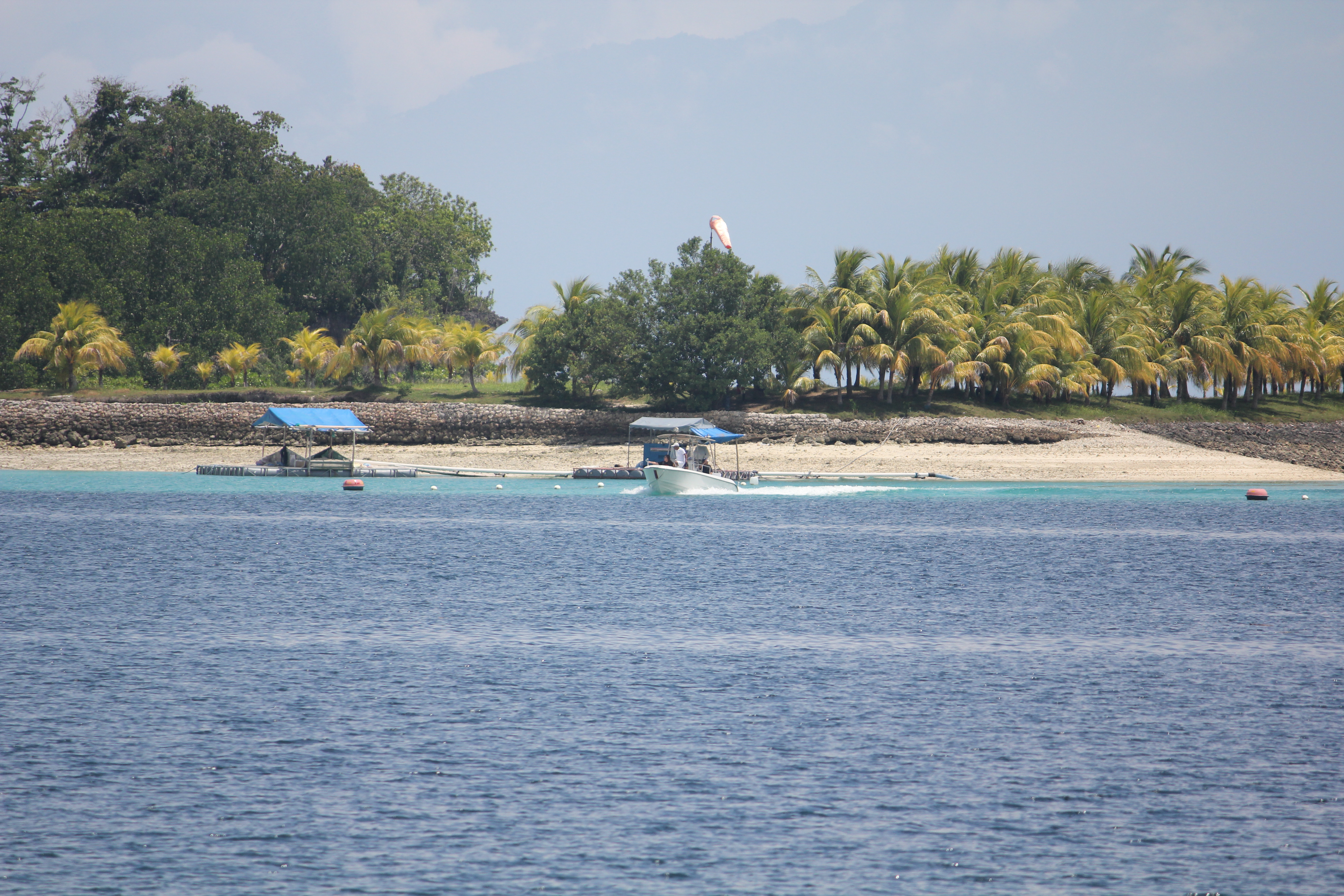 펄팜리조트가는길