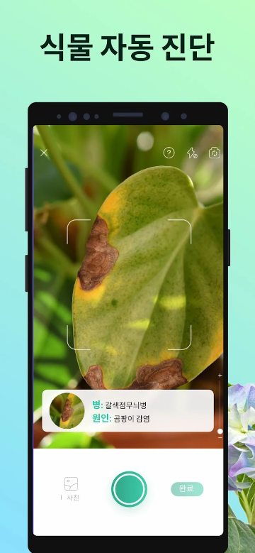 식물찾기, 식물이름 찾기, 꽃검색, PictureThis, 꽃 & 식물찾기, 98%의&nbsp;정확도