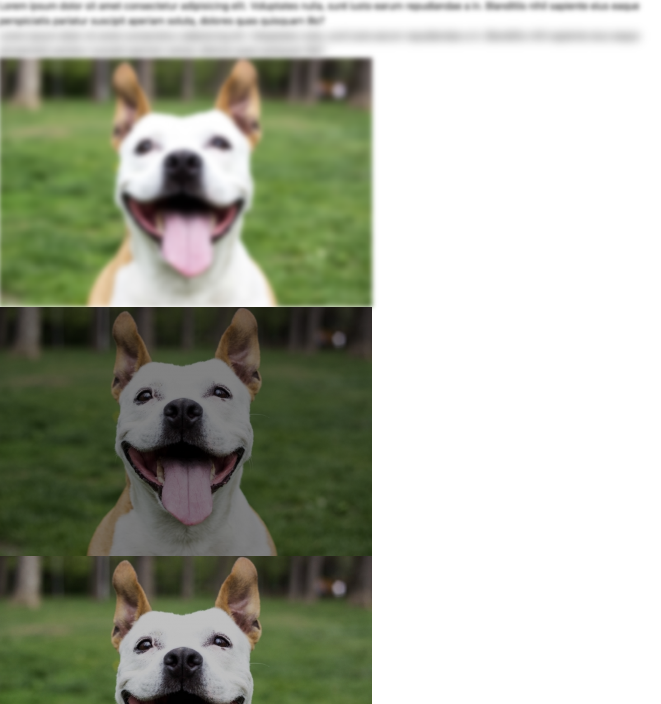 article thumbnail image