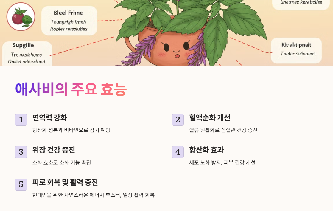 애사비의 주요 효능