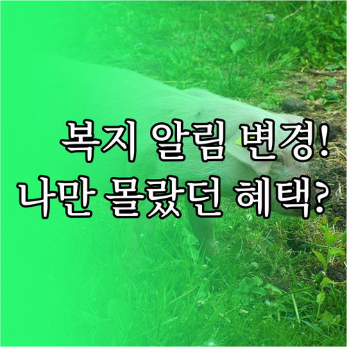 복지멤버십 알림 주기 변경 기준과 나..