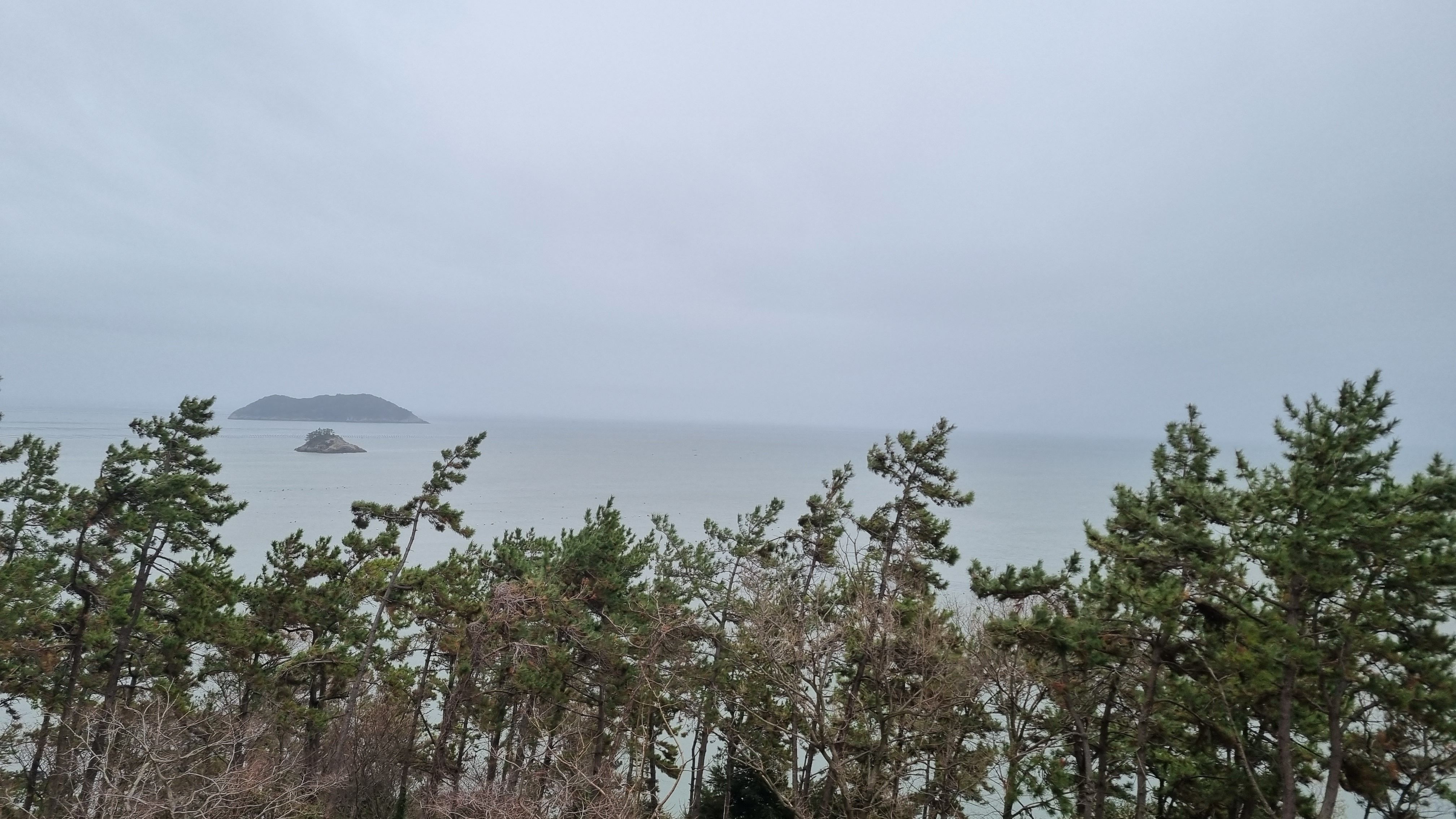 진도자연휴양림 바다풍경