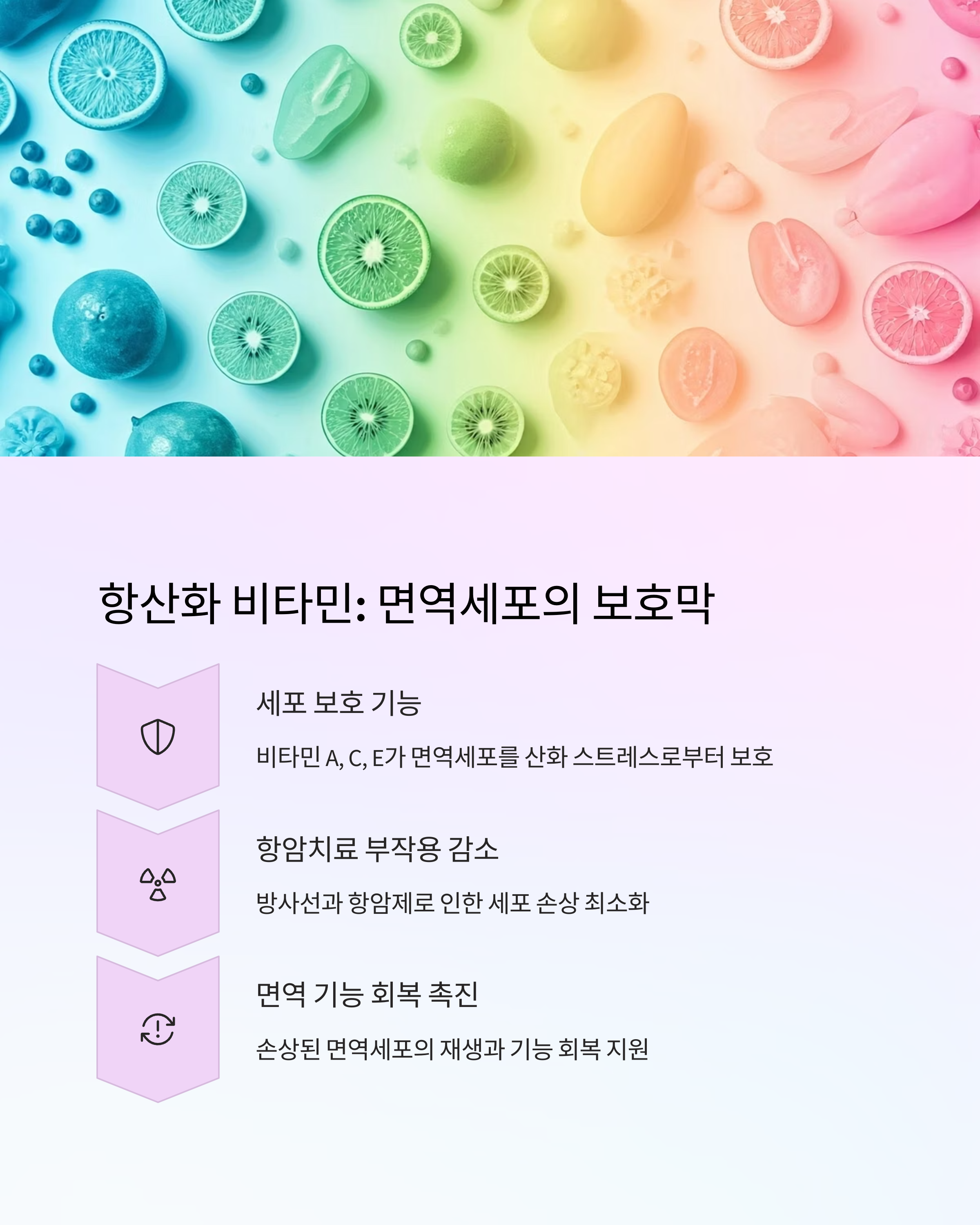 항암치료 중 비타민 면역세포의 보호막