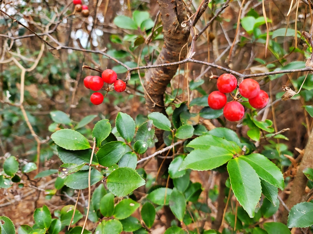 수요 대표 기도문 2022년 1월 넷째 주