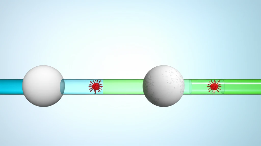 코로나19와 B형 독감 차이점 및 검..