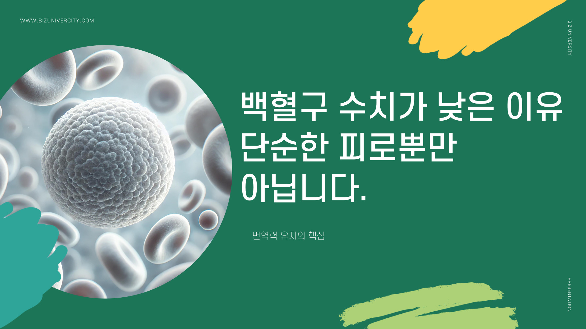 백혈구 수치가 낮은 이유