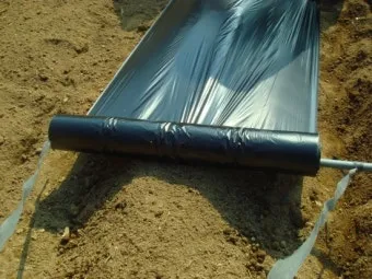 멀칭 필수 가이드 비닐 왕겨 볏짚 잡초 수분관리 효과_28