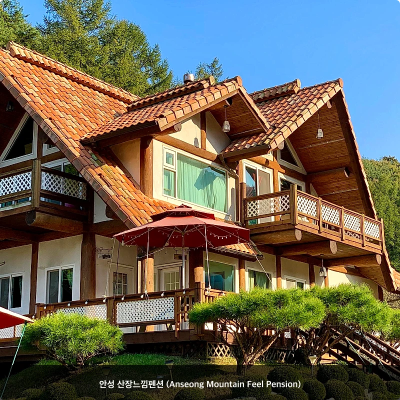 안성 산장느낌펜션 (Anseong Mountain Feel Pension)_3