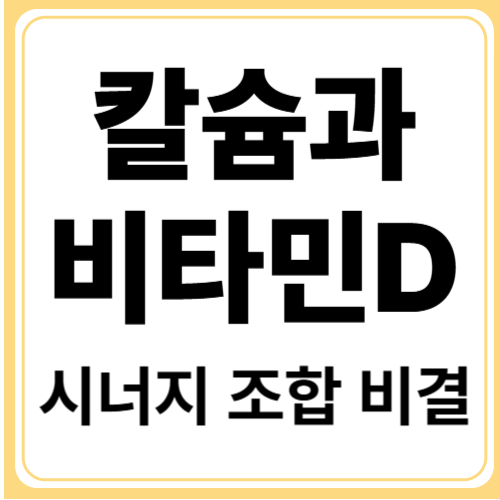 비타민D와 칼슘, 함께 먹어야 하는 과학적 이유