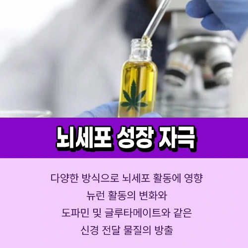 카나비노이드 뇌세포
