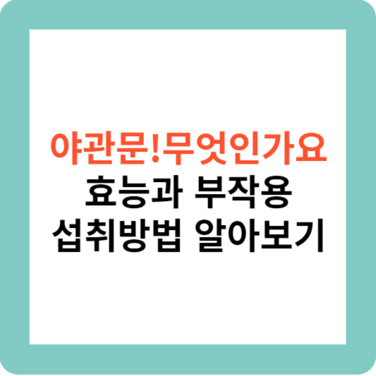 야관문 효능과 부작용 섭취방법