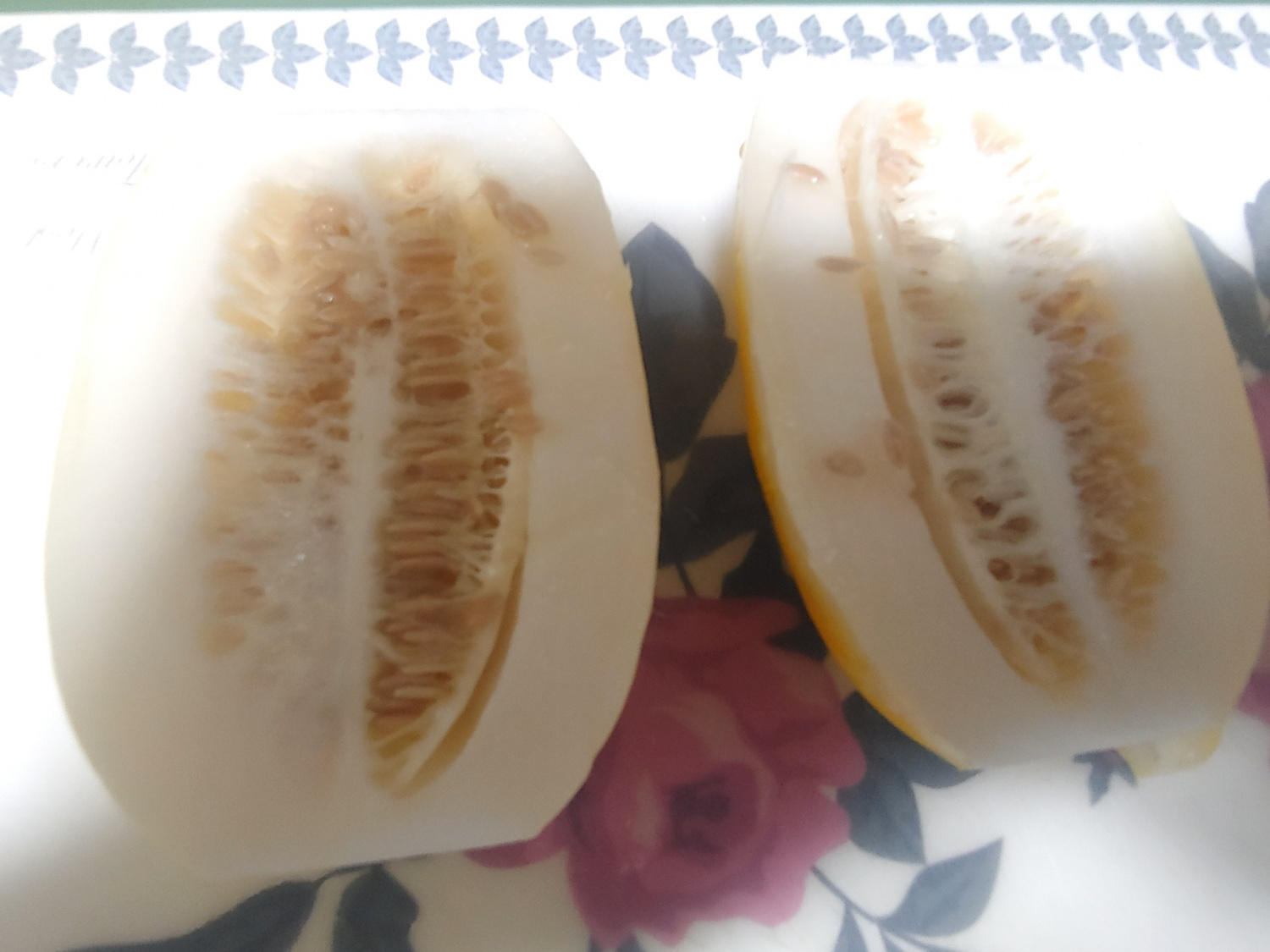 참외 껍질 참외씨 효능 5가지 참외 고르는 방법 1개 칼로리 참외장아찌 담그는 법