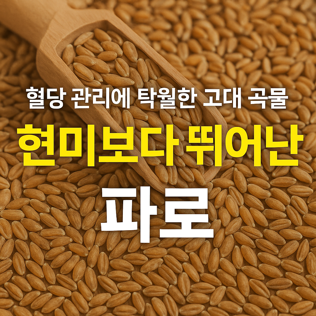 혈당 관리에 좋은 고대 곡물 파로, 현미보다 뛰어난 건강식 잡곡 썸네일 이미지
