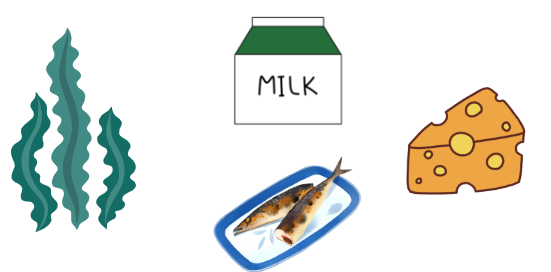 해조류 고칼슘식품