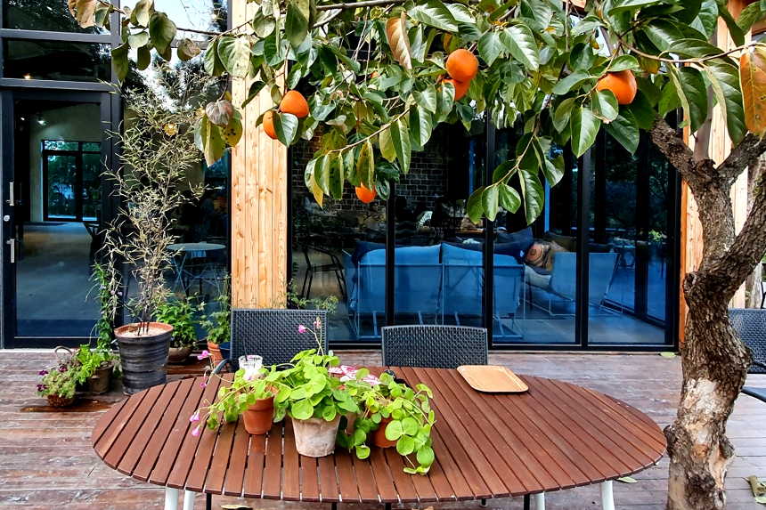 특색있고 아름다운 민간 정원 30선 추천 여행 - 11. 경주 야생화일기 정원