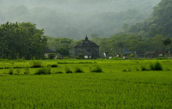 팬덤 문화의 진화, MZ세대가 만든 디지털 공동체의 힘