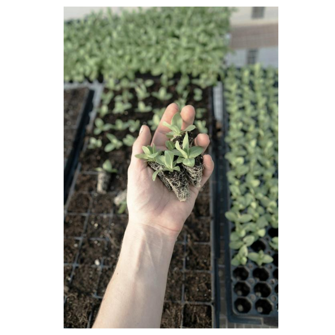 손가락마디통증과 관련된 사진입니다.