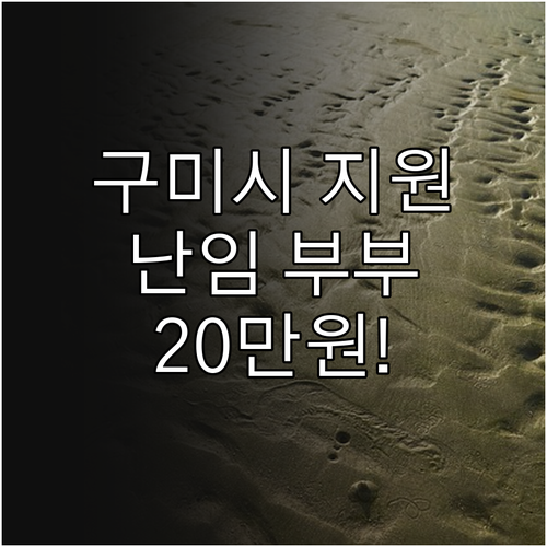 구미시 난임 부부에게 20만원 지원,..