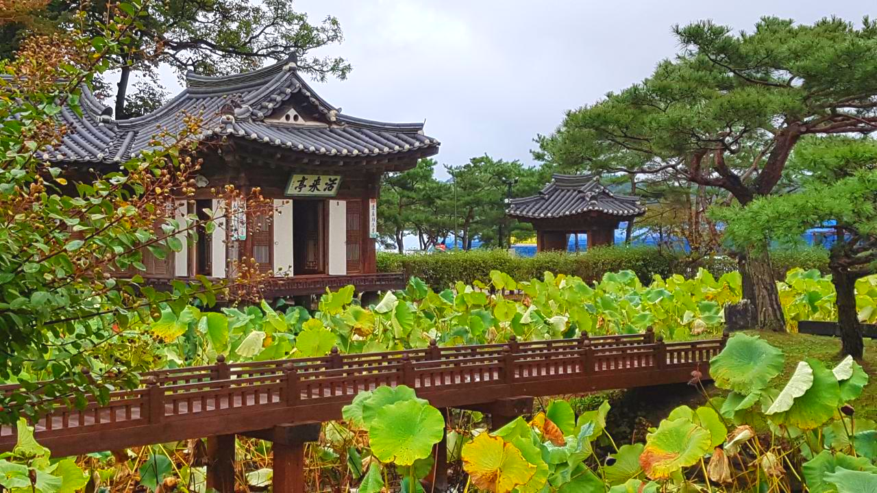 강릉가볼만한곳