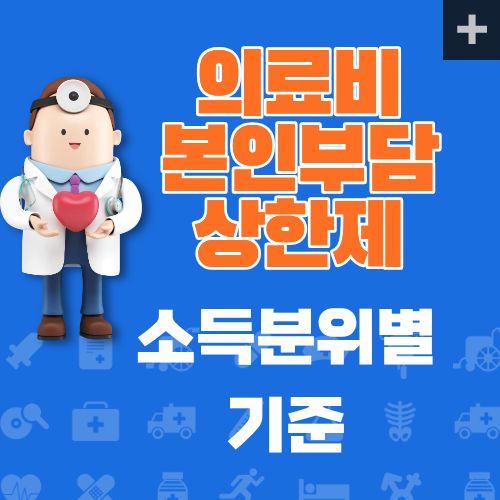 의료비 본인부담 상한제
