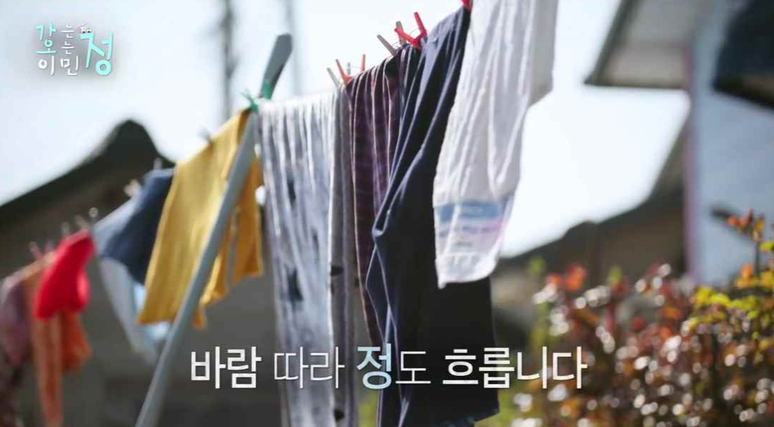 효자도 마을 주민 마당 빨랫줄에 빨래들이 바람에 흔들리는 장면에 바람 따라 정도 흐릅니다 자막이 있는 스틸컷