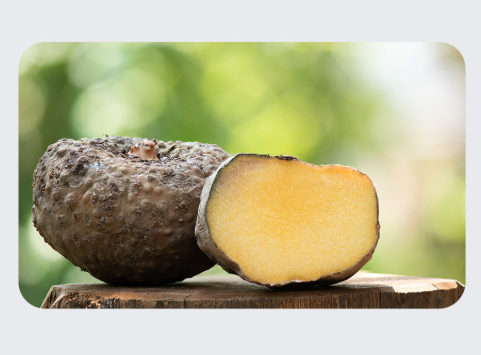 듀오렉신 나비정 부작용&amp;#44; 후기&amp;#44; 복용법