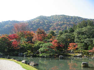 교토 여행 추천 교토 덴류지