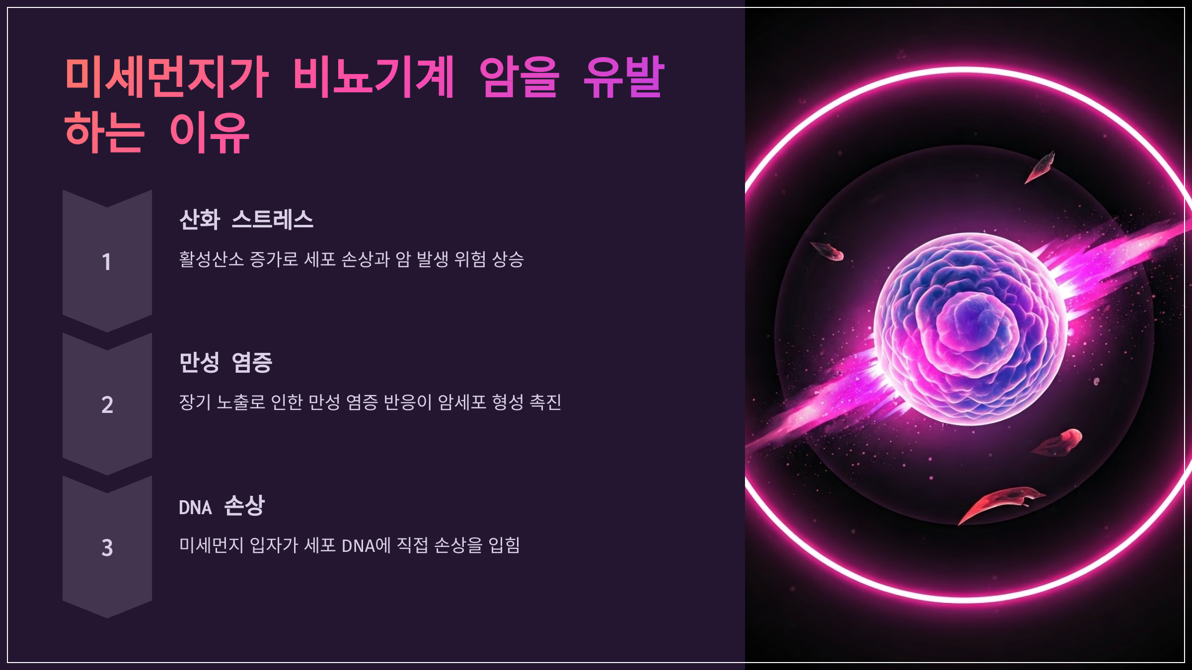 미세먼지가 비뇨기계 암을 유발하는 이유