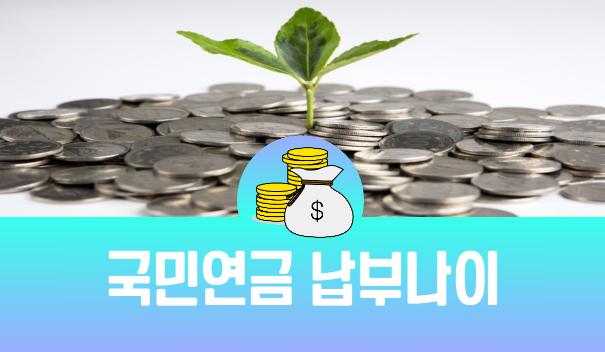 국민연금 납부나이