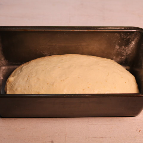 빵 반죽 빵틀에 담고 발효하기