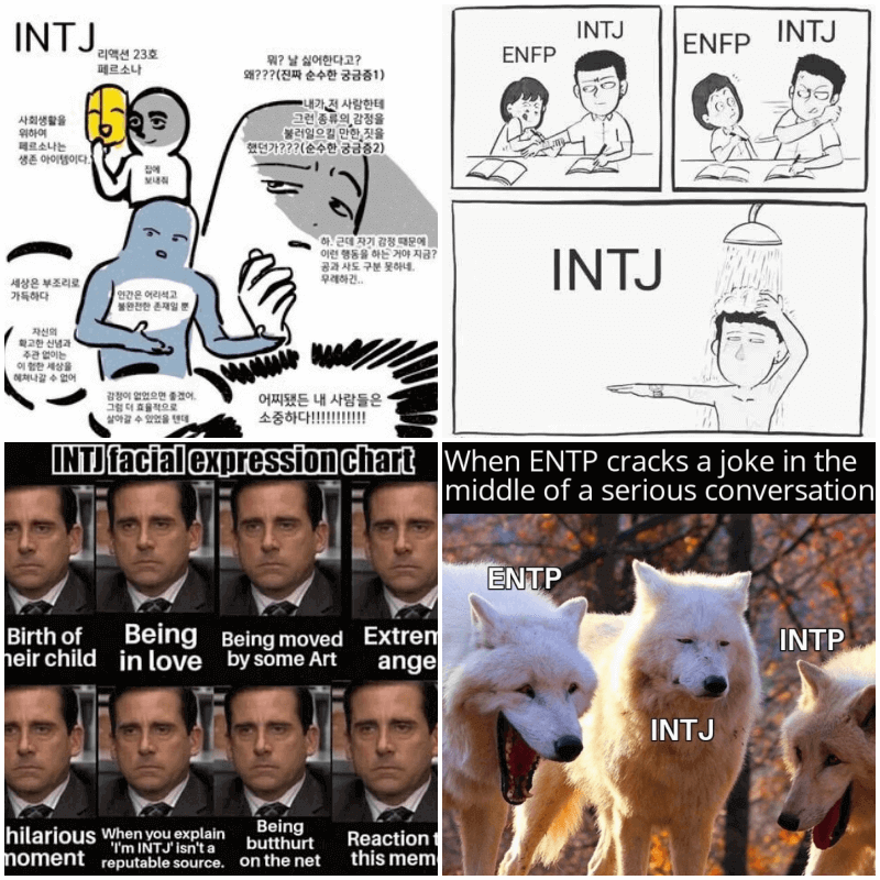 INTJ 짤 4개
