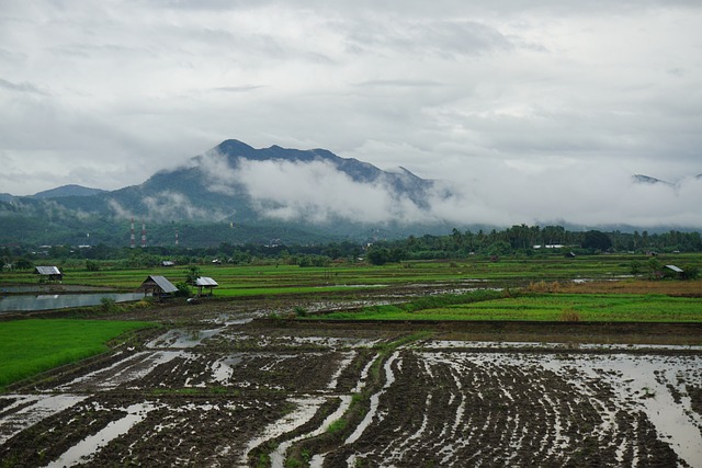 토지대장 무료열람 완벽정리