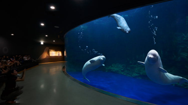 여수 아쿠아리움