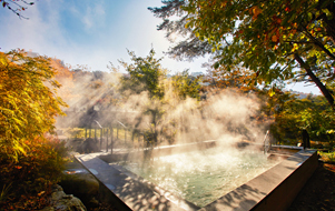 리솜포레스트 해브나인3