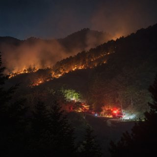 홍천 내면 산불 원인 위치 화재 불 피해