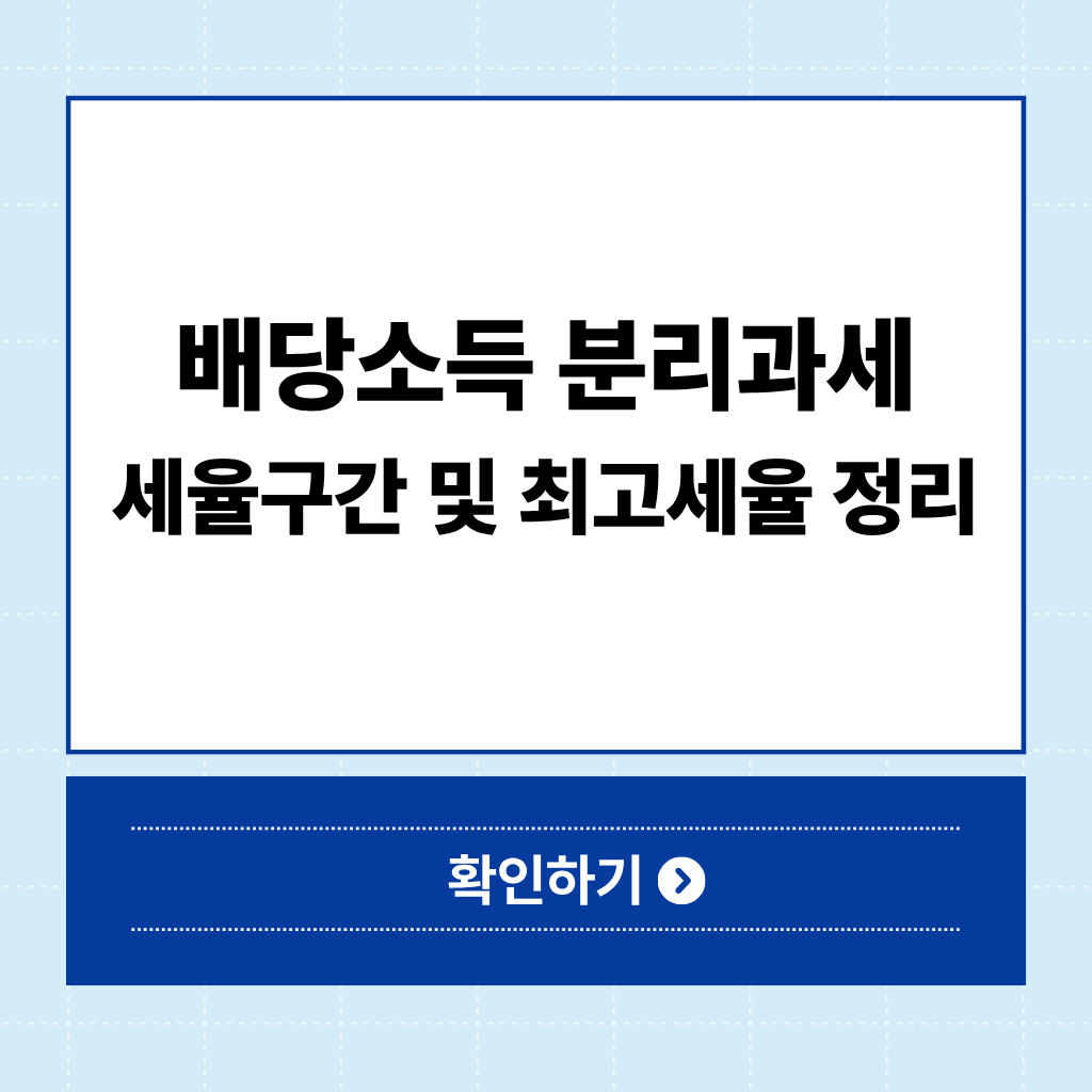 배당소득 분리과세