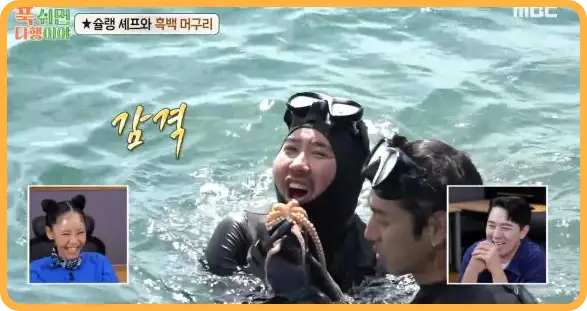 푹 쉬면 다행이야 재방송 다시보기 (+ 촬영지, 게스트, 이대호, 무인도 위치)