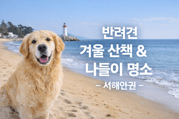서해안 반려견 겨울 나들이 명소, 강아지와 함께 걷기 좋은 바다 산책