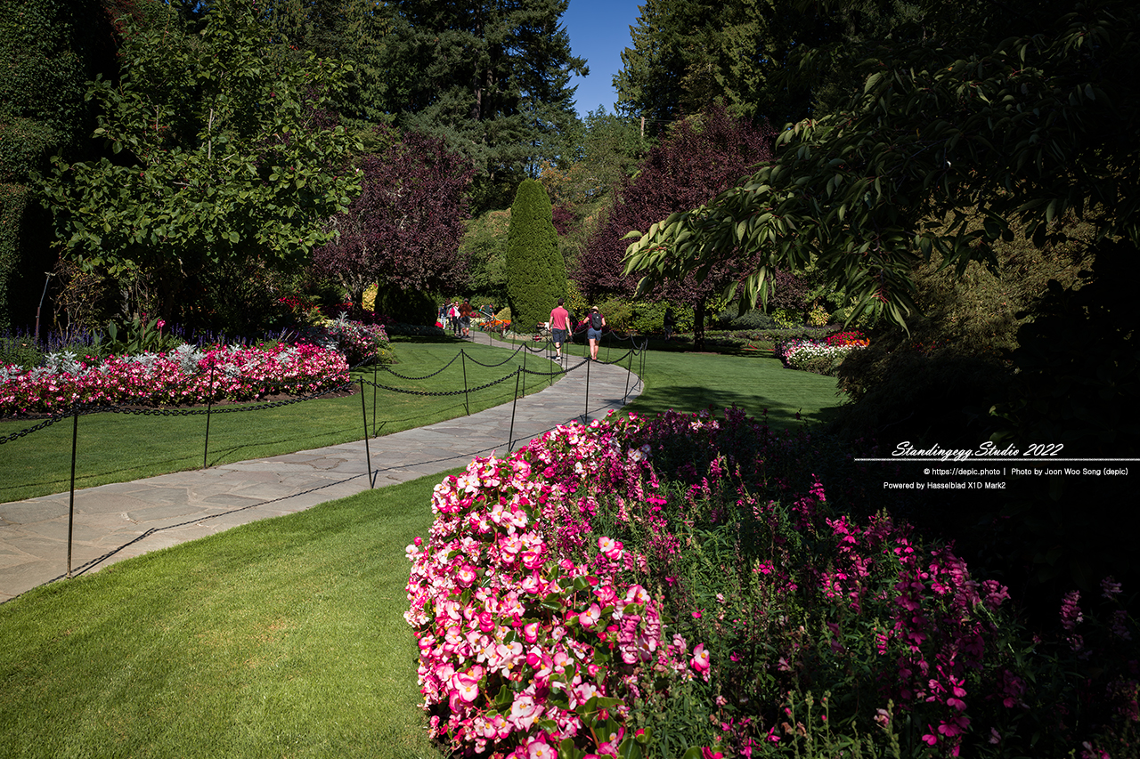 #캐나다 #밴쿠버섬 #호텔 #의사당 #부차드가든 #캐나다여행